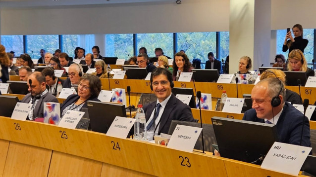 Comisión de Recursos Naturales del Comité Europeo de las Regiones.