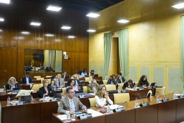 Diputados en la comisión de Justicia, Administración Local y Función Pública del Parlamento andaluz.