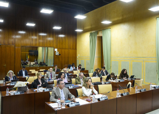 Diputados en la comisión de Justicia, Administración Local y Función Pública del Parlamento andaluz.