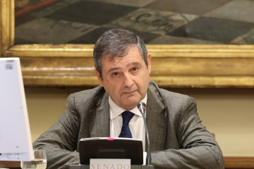 El director de Programación de Operación de Redeia, Tomás Domínguez Autrán, comparece ante la Comisión de Investigación sobre la interrupción del suministro eléctrico y de las comunicaciones 