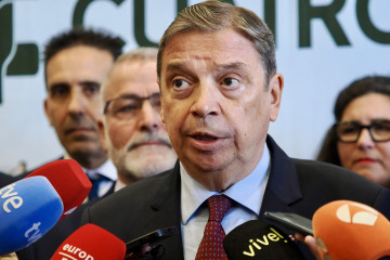 El ministro de Agricultura, Pesca y Alimentación, Luis Planas, en una atención a medios en Valladolid en una imagen de archivo