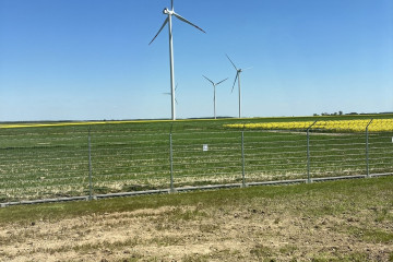 Archivo - Parque eólico