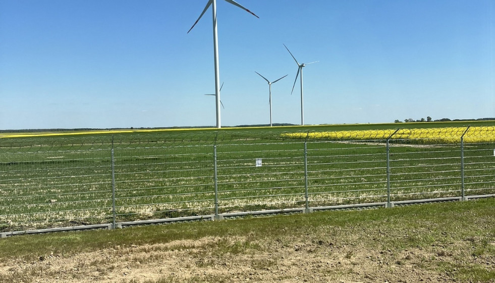 Archivo - Parque eólico