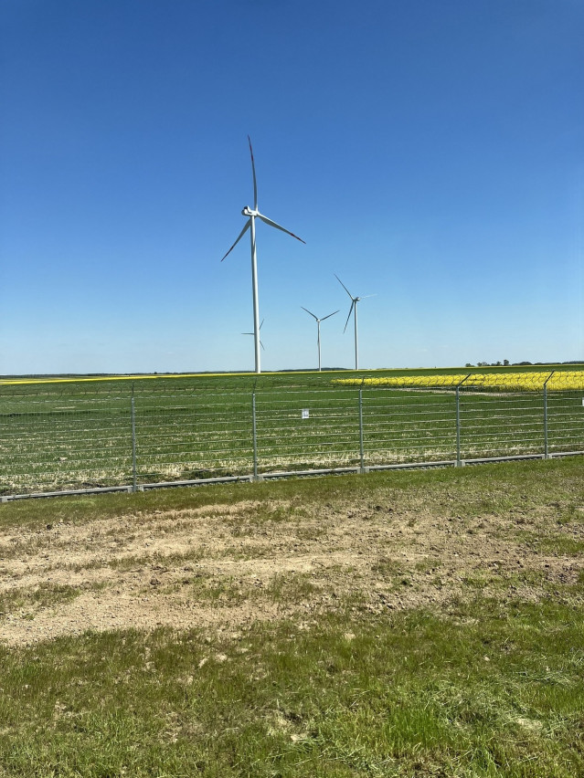 Archivo - Parque eólico