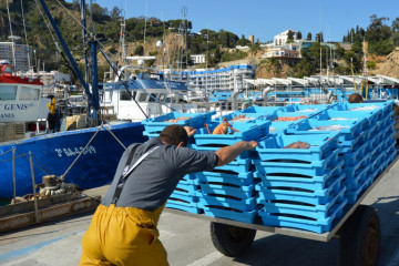 Archivo - Cofradía de Pescadores de Blanes