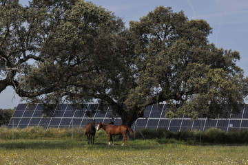 Statkraft obtiene la autorización ambiental para dos proyectos solares en Extremadura que suman 205 MW