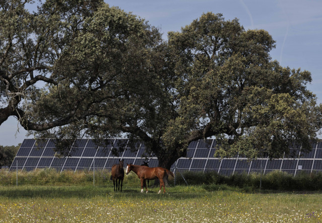 Statkraft obtiene la autorización ambiental para dos proyectos solares en Extremadura que suman 205 MW