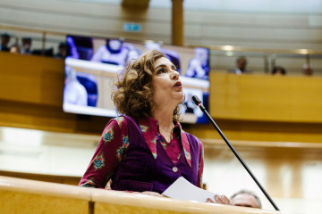 La vicepresidenta primera y ministra de Hacienda, María Jesús Montero, interviene durante una sesión plenaria en el Senado, a 25 de noviembre de 2025, en Madrid (España).