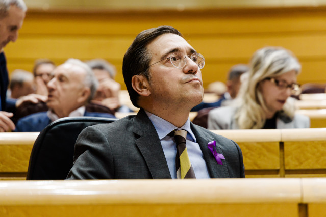 El ministro de Asuntos Exteriores, Unión Europea y Cooperación, José Manuel Albares, durante una sesión plenaria en el Senado, a 25 de noviembre de 2025