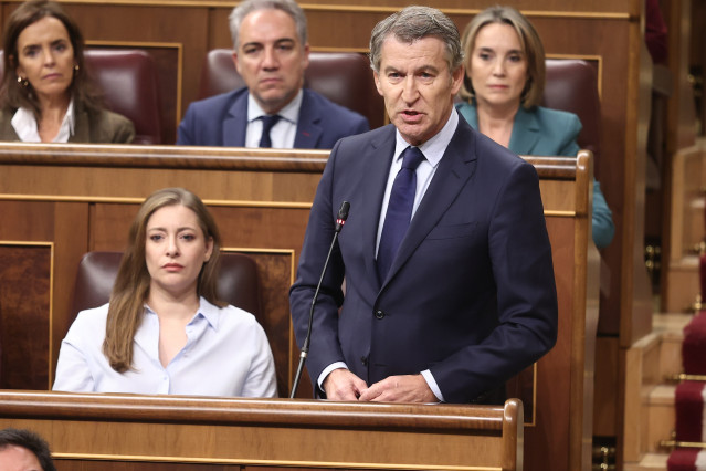 El presidente del Partido Popular, Alberto Núñez Feijóo, interviene durante una sesión de control al Gobierno, en el Congreso de los Diputados, a 19 de noviembre de 2025, en Madrid