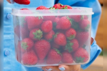 Archivo - La petroquímica mexicana Alpek.