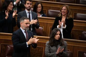 El presidente de Vox, Santiago Abascal, y la portavoz de Vox en el Congreso, Pepa Millán, durante una sesión plenaria, en el Congreso de los Diputados, a 27 de noviembre de 2025, en Madrid (España)