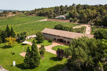 González Byass impulsa su descarbonización con tres nuevas fuentes de energía renovable