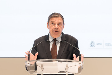 El ministro de Agricultura, Pesca y Alimentación, Luis Planas, ofrece una rueda de prensa tras la detección de seis casos de peste porcina africana en animales silvestres, en la sede del ministerio,