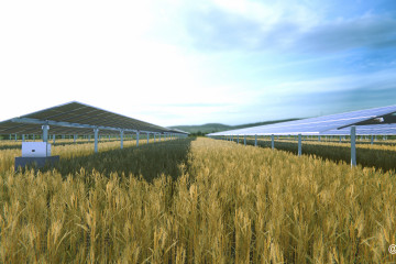 Archivo - Soltec se alía con TSE para el desarrollo de productos agrivoltaicos en el mercado francés