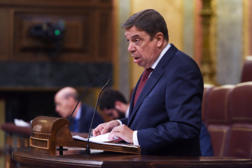 Archivo - El ministro de Agricultura, Pesca y Alimentación, Luis Planas, en una sesión plenaria en el Congreso de los Diputados, a 22 de noviembre de 2022, en Madrid (España).
