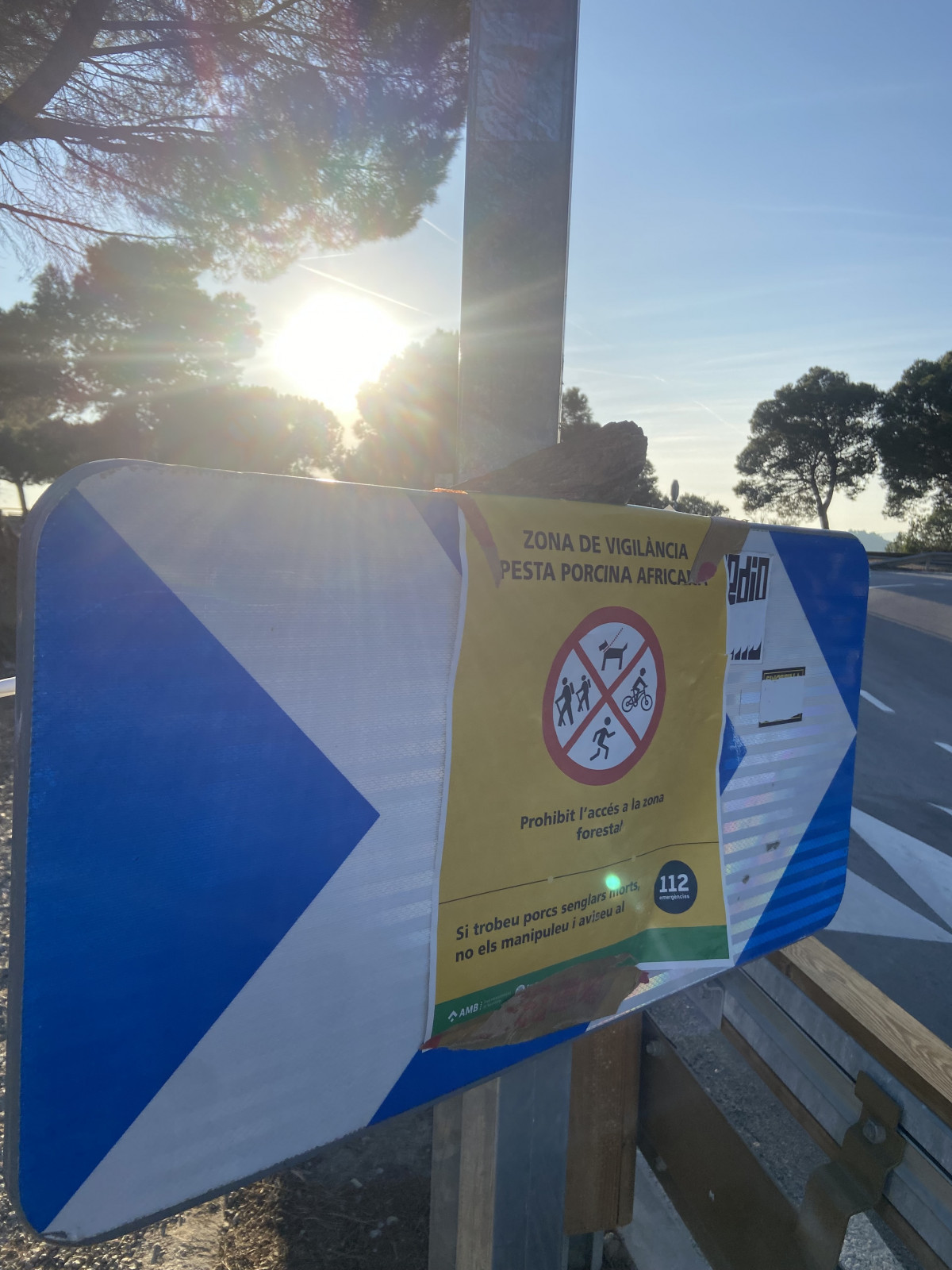 USo solo para noticia  1 12