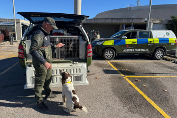 Agentes Forestales de la Comunidad de Madrid junto a un perro de la unidad canina