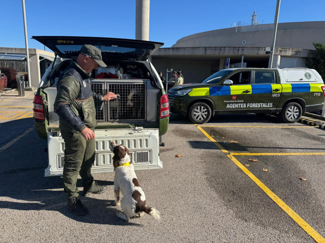 Agentes Forestales de la Comunidad de Madrid junto a un perro de la unidad canina