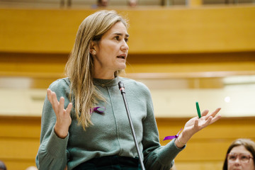 La vicepresidenta tercera y ministra para la Transición Ecológica y Reto Demográfico, Sara Aagesen, interviene durante una sesión plenaria en el Senado, a 25 de noviembre de 2025, en Madrid (Espa