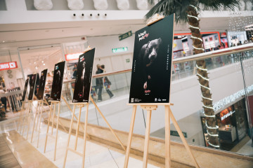 El centro comercial Miramar en Fuengirola (Málaga).