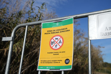 Vallas para cortar el paso en las zonas restringidas por la peste porcina africana.