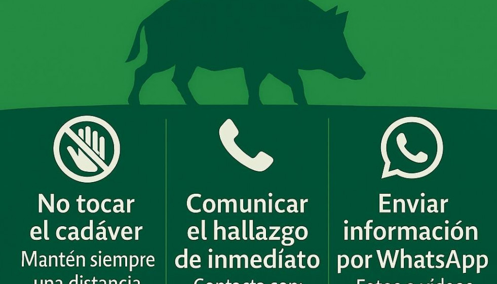 La Junta de Andalucía refuerza medidas de prevención frente a la peste porcina.