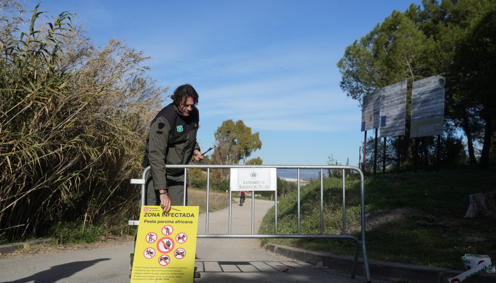Efectivos de Agents Rurals vigilan la zona cero de la PPA