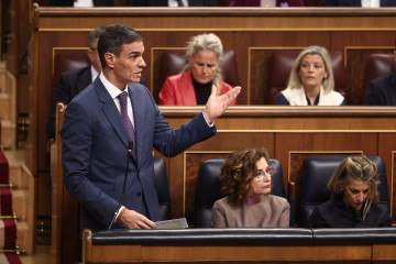 El presidente del Gobierno, Pedro Sánchez, interviene durante una sesión de control al Gobierno, en el Congreso.