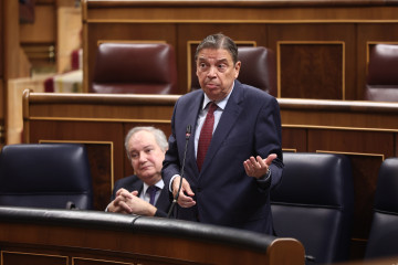 El ministro de Agricultura, Pesca y Alimentación, Luis Planas, interviene durante una sesión de control al Gobierno, en el Congreso de los Diputados, a 10 de diciembre de 2025, en Madrid (España).