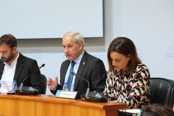 Archivo - El presidente de la Diputación de Lugo, José Tomé.