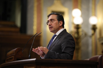 El ministro de Asuntos Exteriores, Cooperación y Unión Europea, José Manuel Albares, interviene durante una sesión de control al Gobierno, en el Congreso de los Diputados, a 10 de diciembre de 202