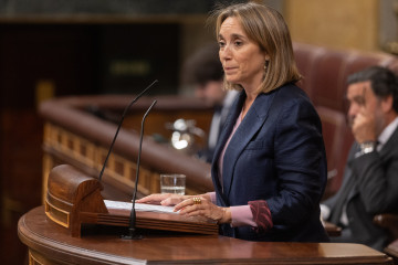 Archivo - Gamarra en un pleno del Congreso