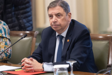 El ministro de Agricultura, Pesca y Alimentación, Luis Planas.