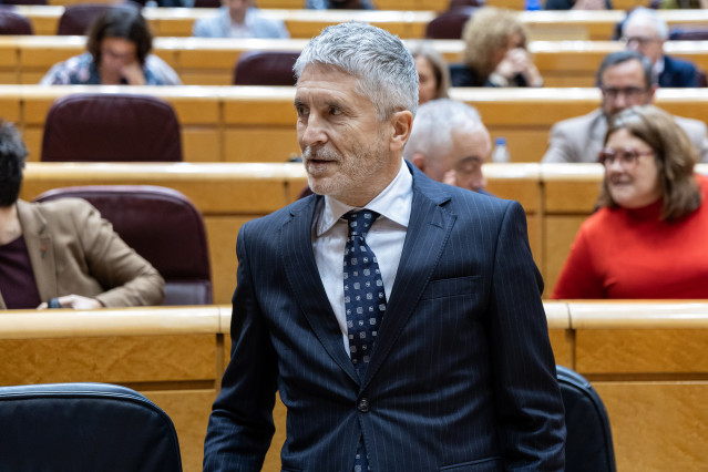 El ministro del Interior, Fernando Grande-Marlaska, durante una sesión de control al Gobierno, en el Senado