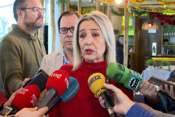 La presidenta del Grupo Municipal Vox y vicealcaldesa de Toledo, Inés Cañizares