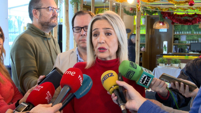 La presidenta del Grupo Municipal Vox y vicealcaldesa de Toledo, Inés Cañizares