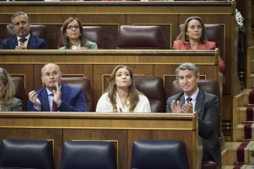 Archivo - El secretario general del PP, Miguel Tellado, la portavoz del PP en el Congreso, Ester Muñoz; y el presidente del Partido Popular, Alberto Núñez Feijóo; durante una sesión plenaria en e