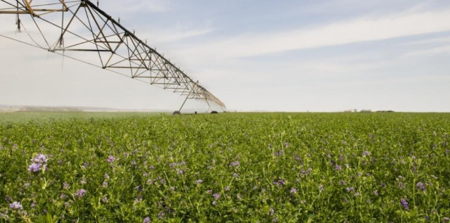 El departamento de Agricultura refuerza su compromiso con el campo turolense.