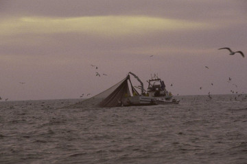 Archivo - Pesca en el Golfo de Cádiz.