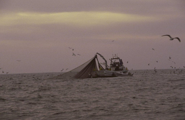 Archivo - Pesca en el Golfo de Cádiz.