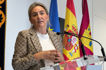 La delegada del Gobierno de España en Castilla-La Mancha, secretaria general del PSOE toledano y exalcaldesa de Toledo, Milagros Tolón.
