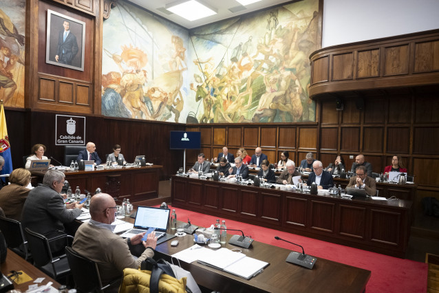 El Pleno del Cabildo de Gran Canaria