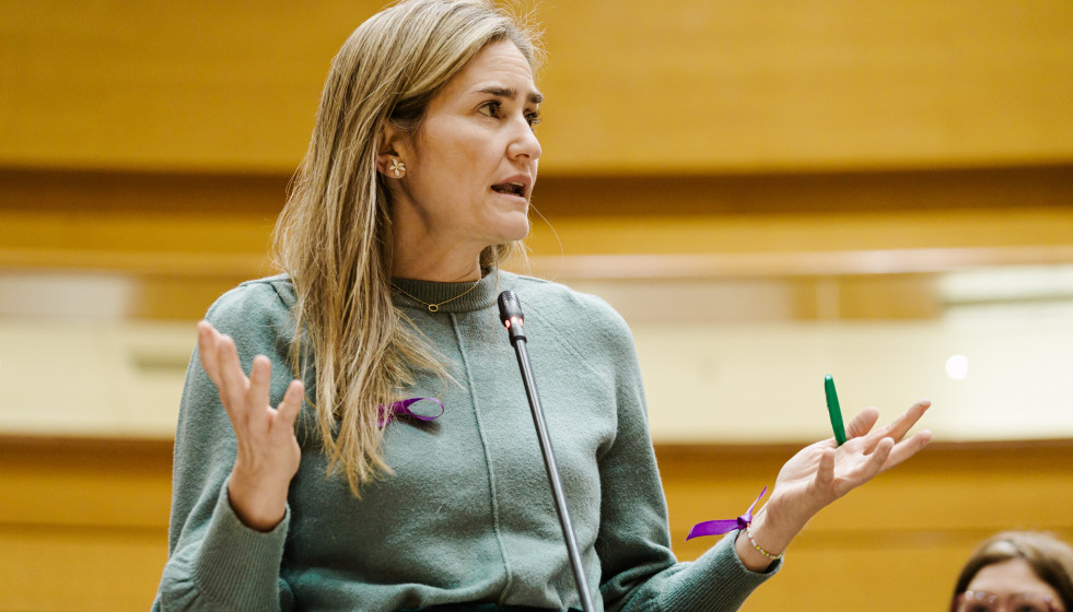 Archivo - La vicepresidenta tercera y ministra para la Transición Ecológica y Reto Demográfico, Sara Aagesen, interviene durante una sesión plenaria en el Senado