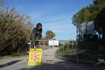 Efectivos de los agents rurals de los Mossos d'Esquadra en las zonas restringidas por la cuarentena ante la peste porcina africana.
