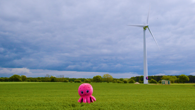 Archivo - Octopus Energy