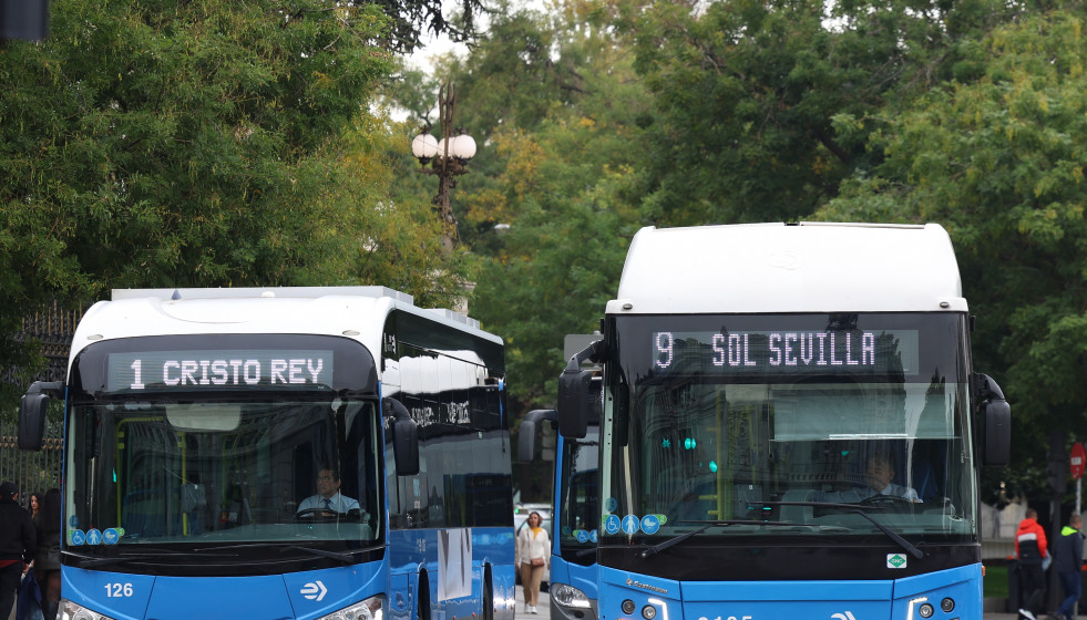 EuropaPress 7069019 autobus emt 31 octubre 2025 madrid espana consejo administracion empresa