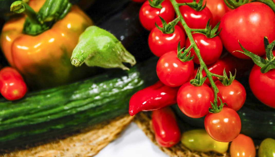 Archivo - Fepex afirma que el acuerdo con Mercosur 