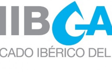 Archivo - Mercado Ibérico del Gas