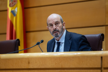 El presidente del Senado, Pedro Rollán, durante una sesión plenaria, en el Senado, a 16 de diciembre de 2025, en Madrid (España).